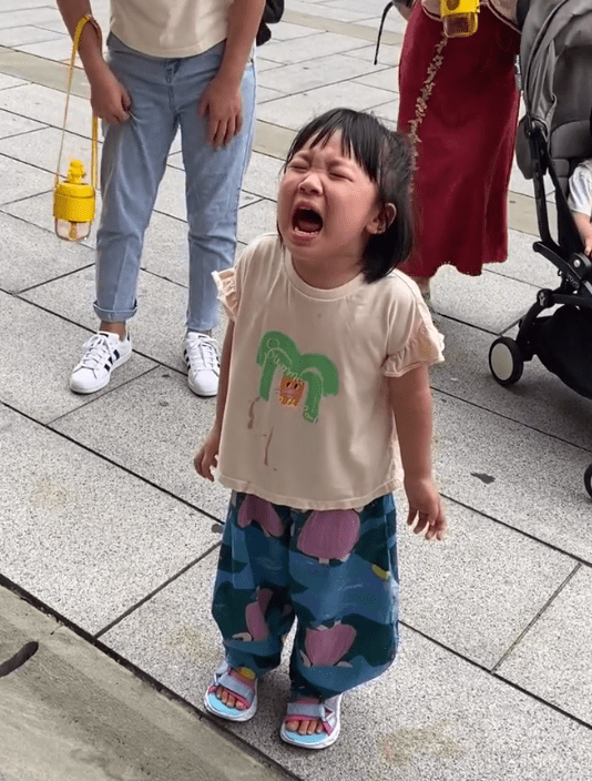 王祖蓝3岁女儿街头大哭！五官和爸爸似复制粘贴，引路人围观大笑