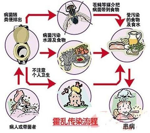 唐驳虎：武汉霍乱感染源头在哪？这或许是一条线索