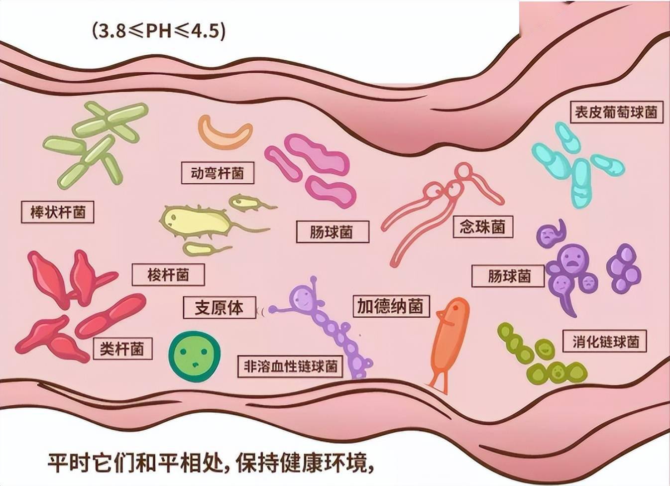 本想去水上乐园解暑，没想到竟得了妇科病！游泳池真这么脏？