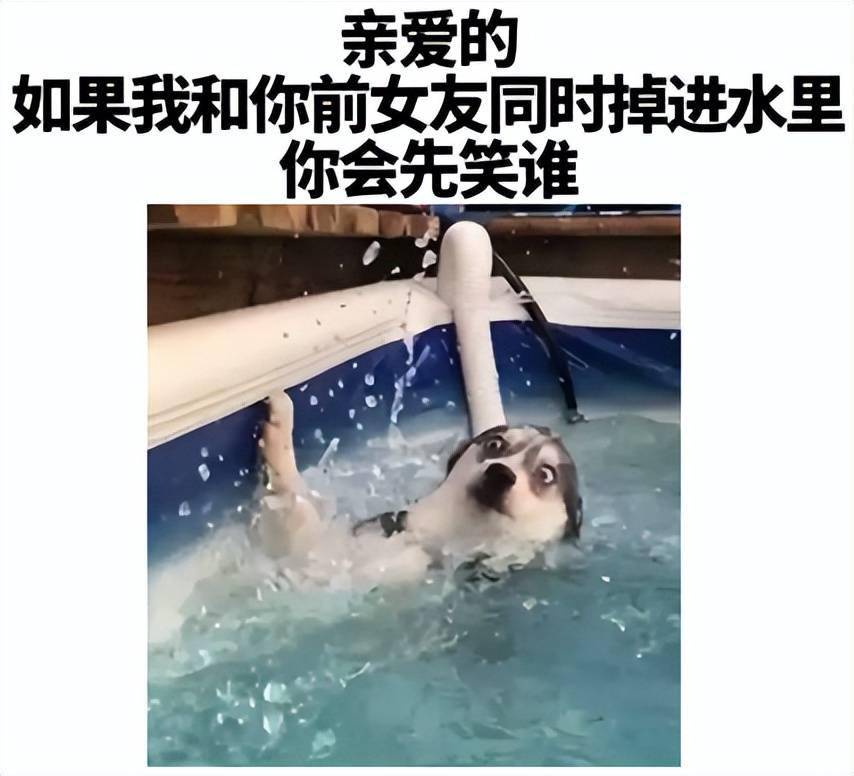 本想去水上乐园解暑，没想到竟得了妇科病！游泳池真这么脏？