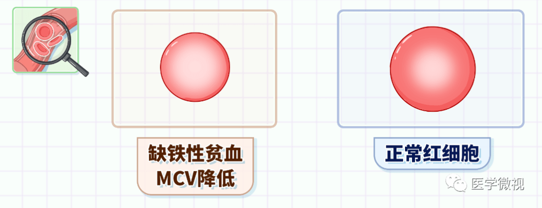 医院中最常见的报告单，原来可以看出这么多信息！