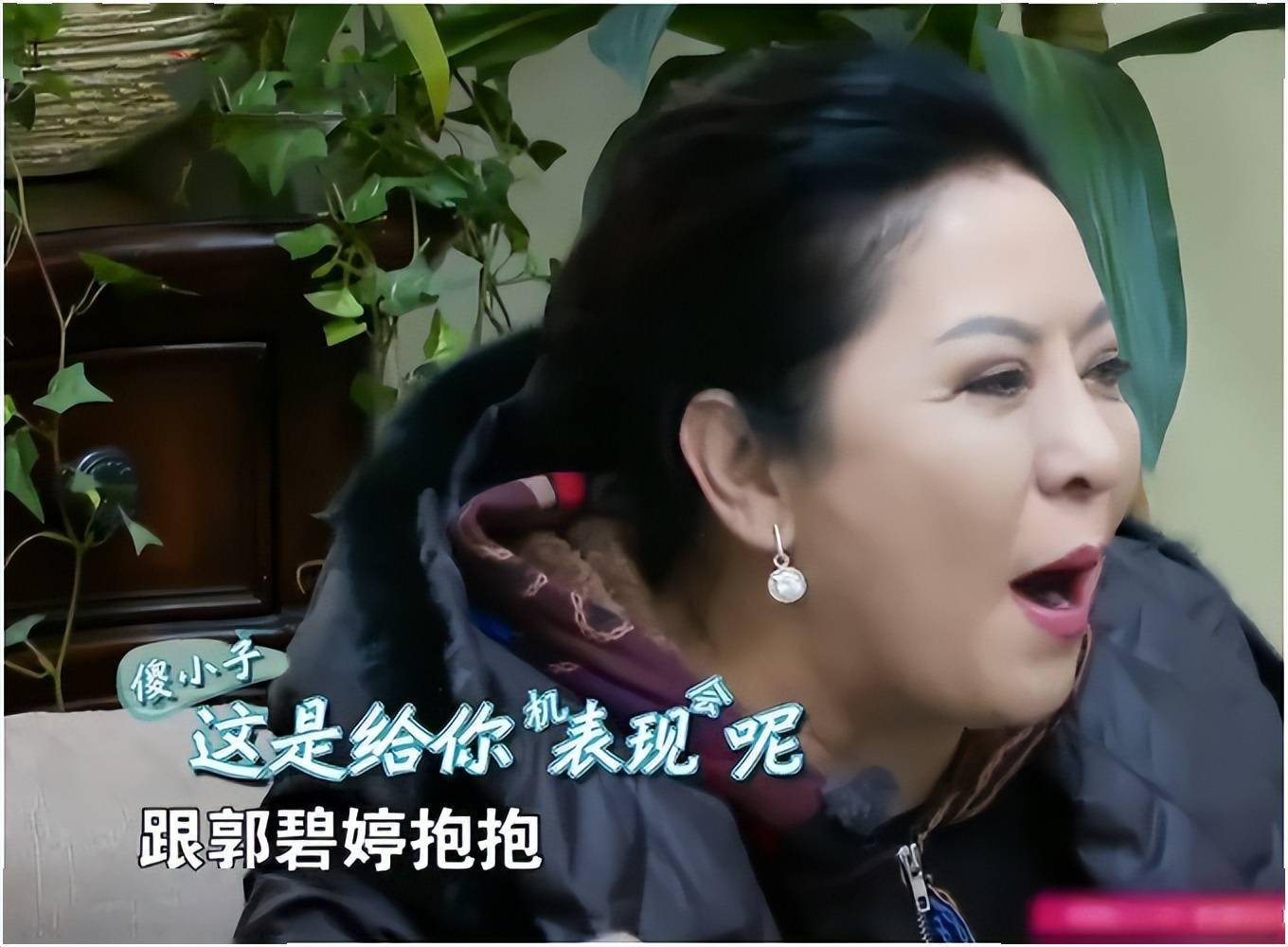 妻子刚生二胎，向佐就出轨？郭碧婷该何去何从？