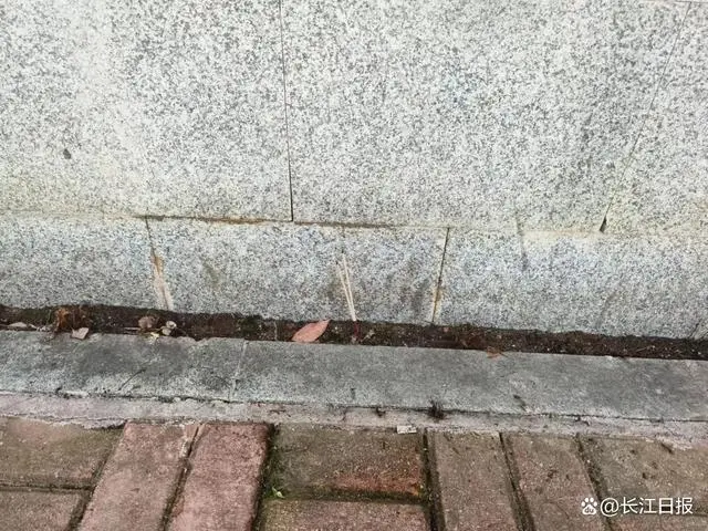 長沙一幼兒園門口發生車禍，被撞母女身亡