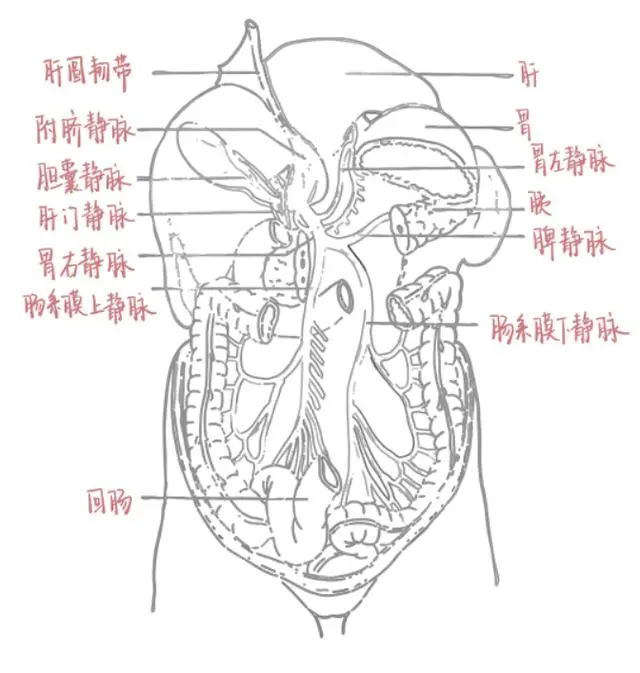 60位浙大学霸晒出学习笔记，精美得像教科书，网友说，学霸和自己的差距太大了