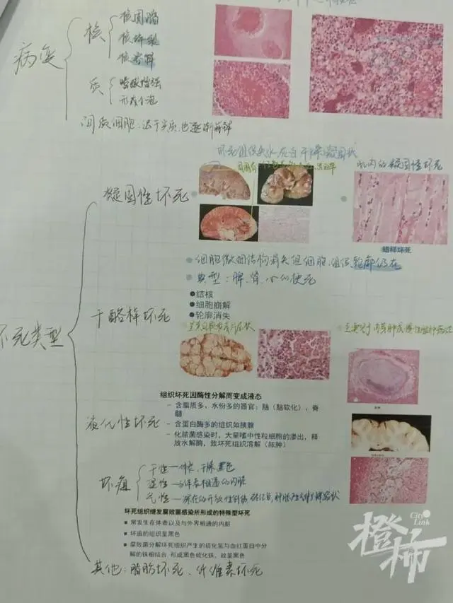 60位浙大學霸曬出學習筆記，精美得像教科書，網友說，學霸和自己的差距太大了