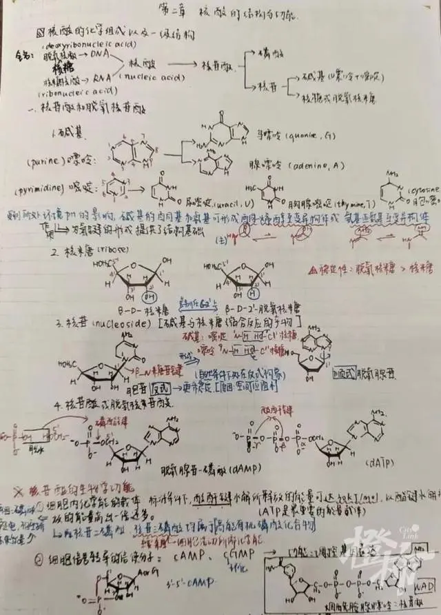 60位浙大学霸晒出学习笔记，精美得像教科书，网友说，学霸和自己的差距太大了