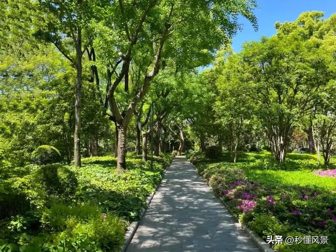 上海市中心的免费公园，交通便利、美若仙境，遛娃拍照好去处！
