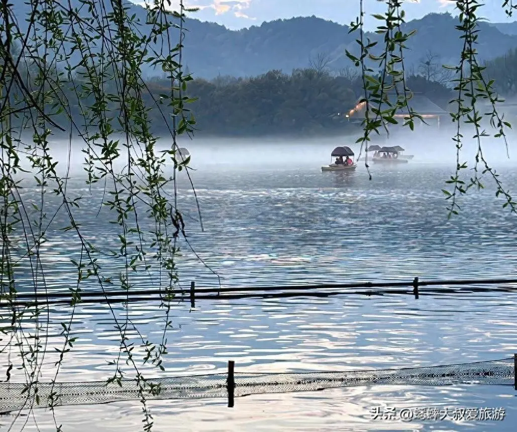 2024来体验杭州西湖“春和景明”吧，三种玩法，让人如临画卷！