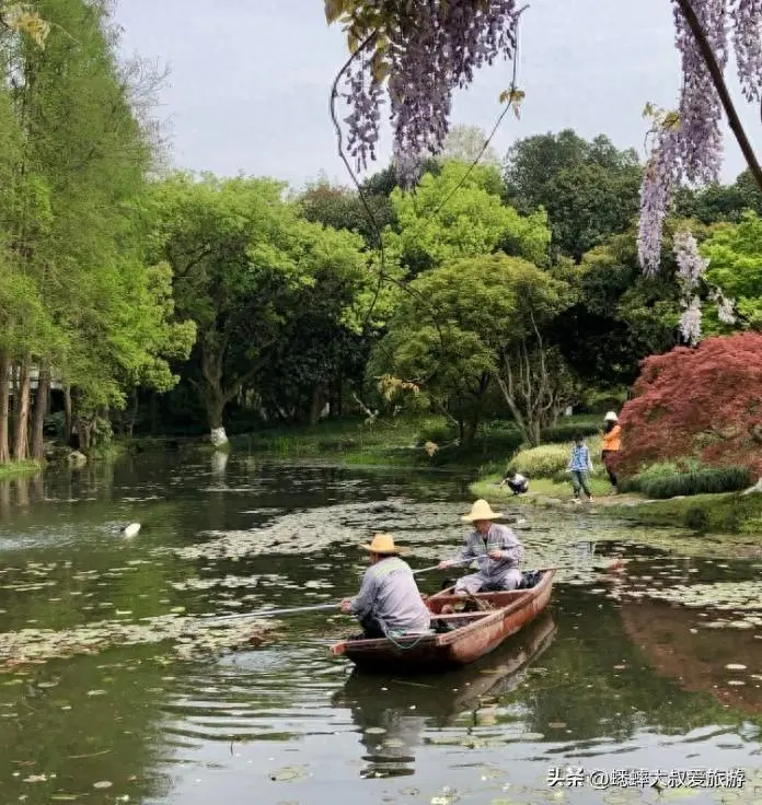 杭州“明珠”公园春天发威了，呈现“紫色花海”，免费且有三亮点